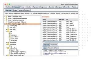 BURP suite